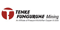 Tenke Fungurme