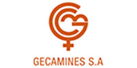 Gecamines S.A